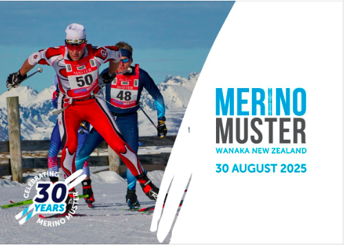 Merino Muster