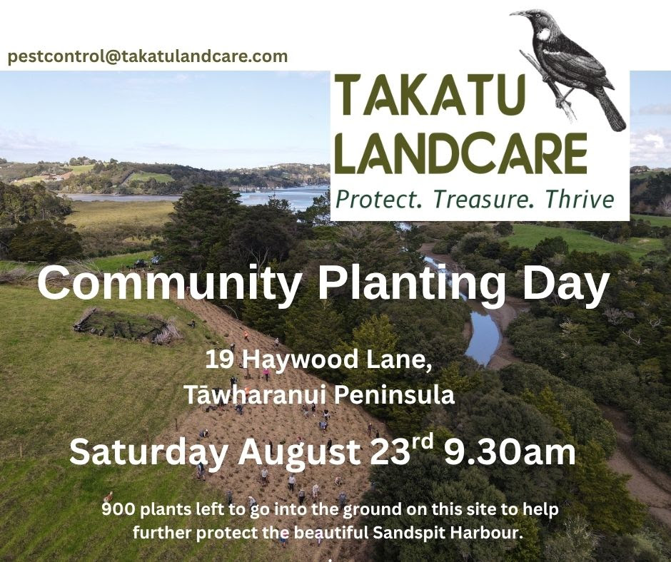 Takatu Landcare - Community Planting Day