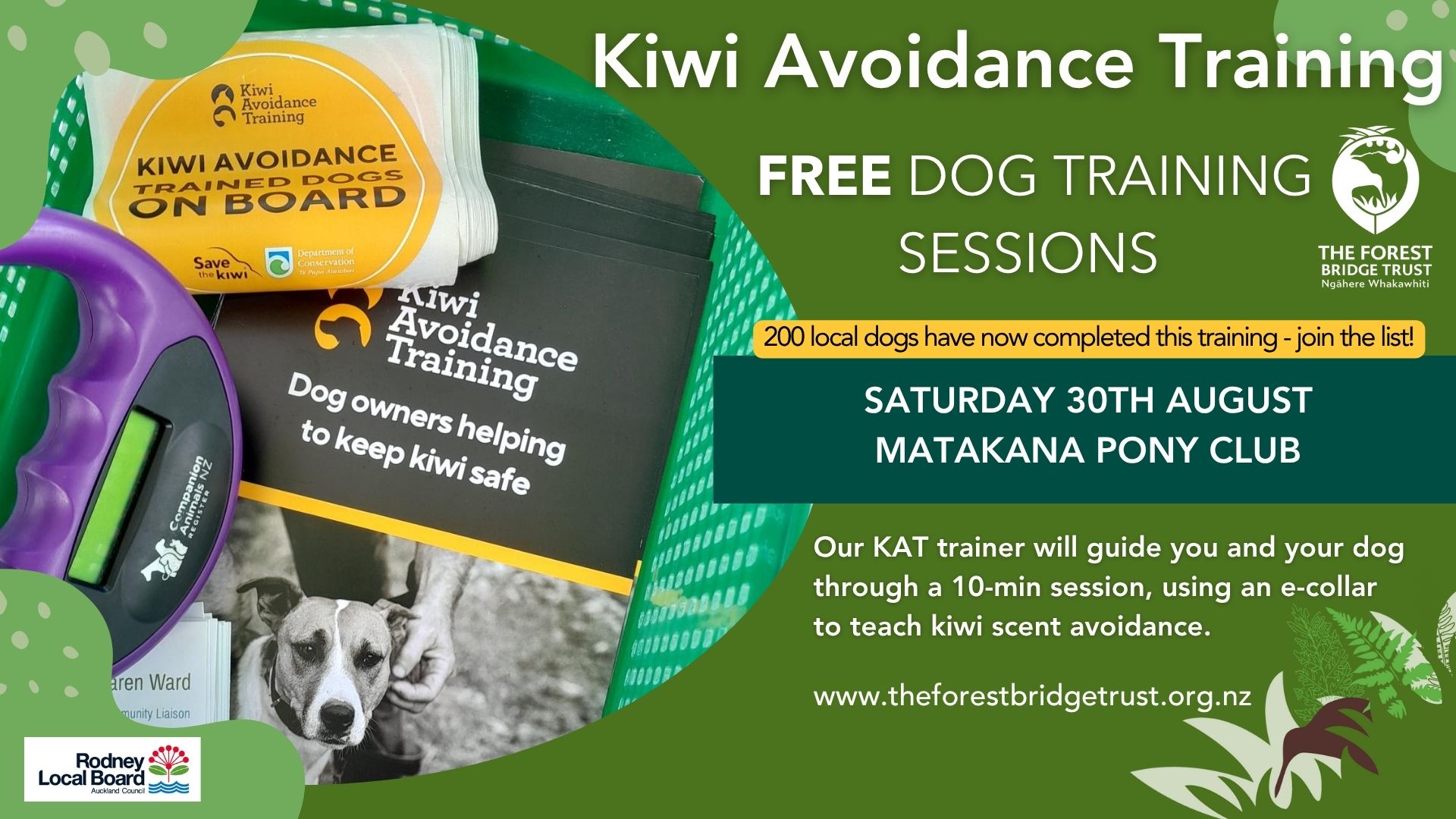 Kiwi Avoidance Dog Training in Matakana - FREE Sessions in August