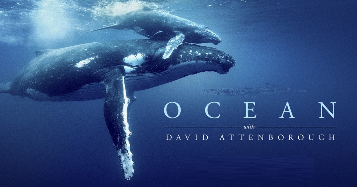 Ocean with David Attenborough @ The Mangawhai Movies