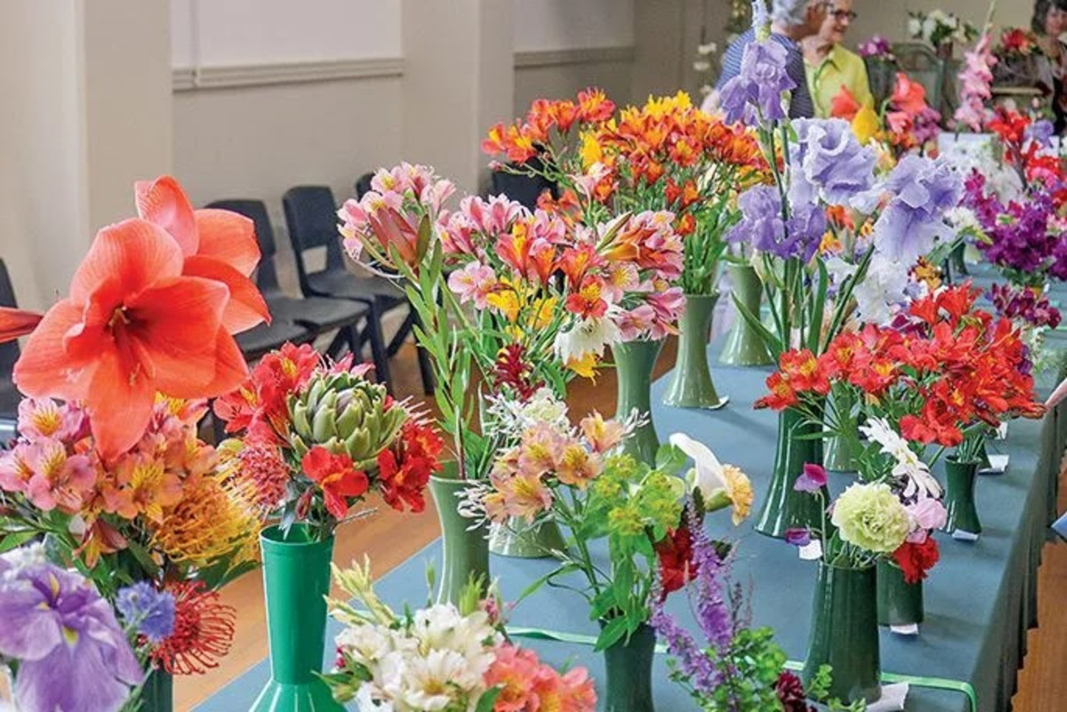 Annual Warkworth Garden Club 2025 Flower Show