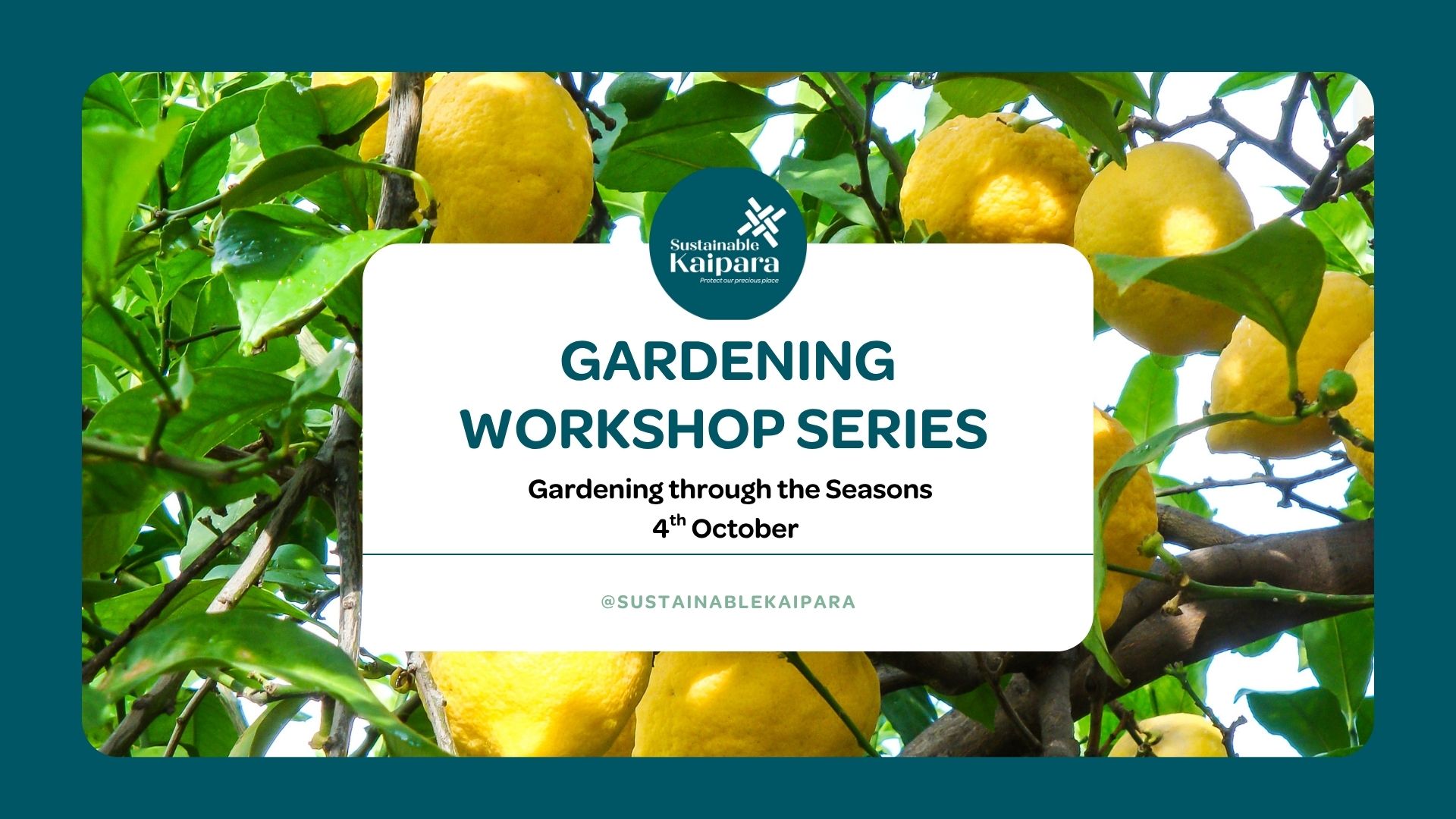 Gardening Workshop Series - Growing through the seasons with Judy Keats