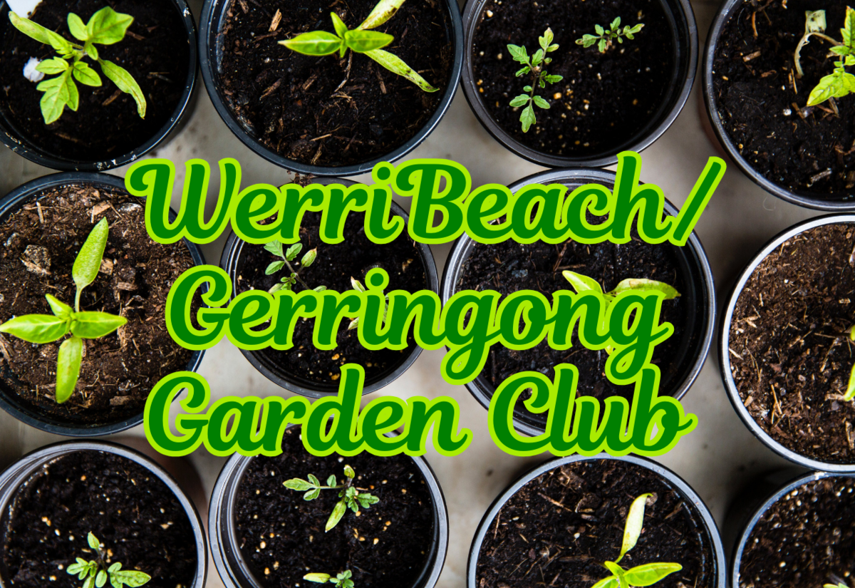 Werri Beach/ Gerringong Garden Club - second Wednesday each month