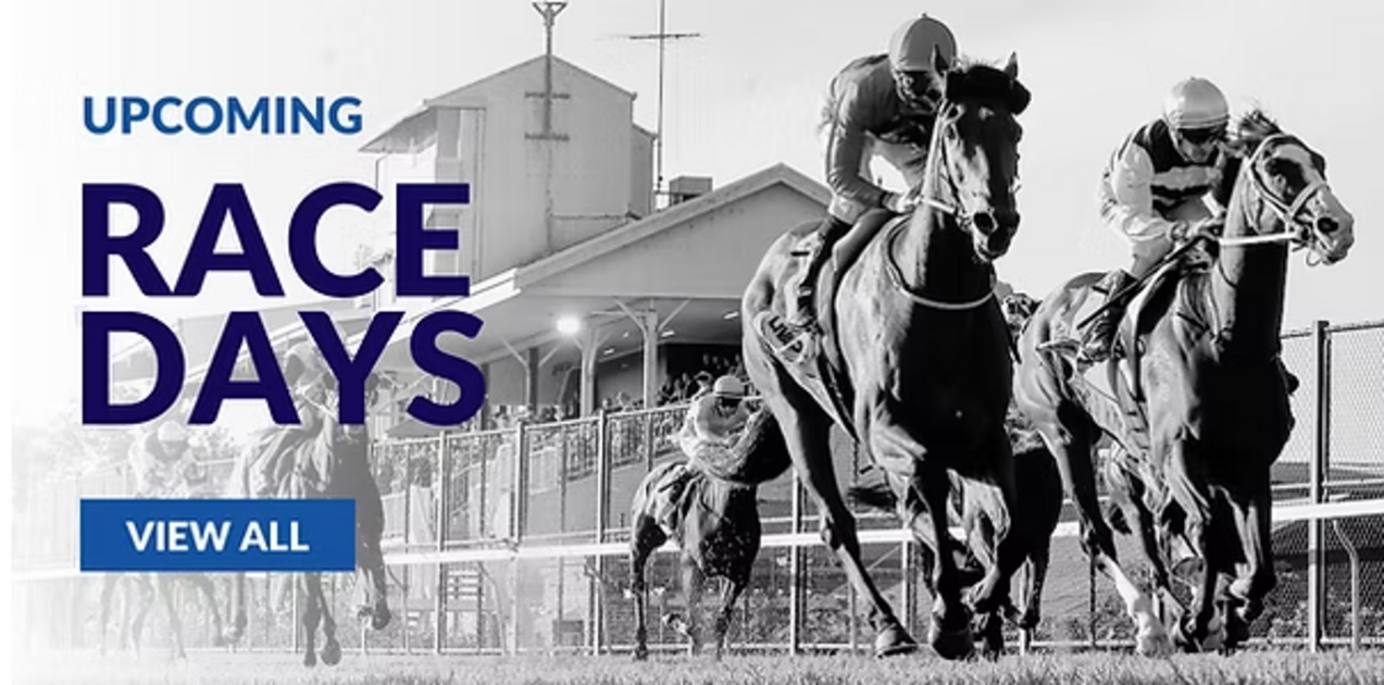 Hawkesbury Horse Racing