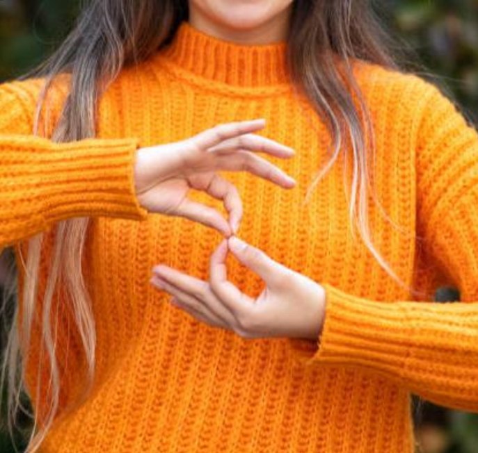 Beginner Sign Language Classes - Starting in November!