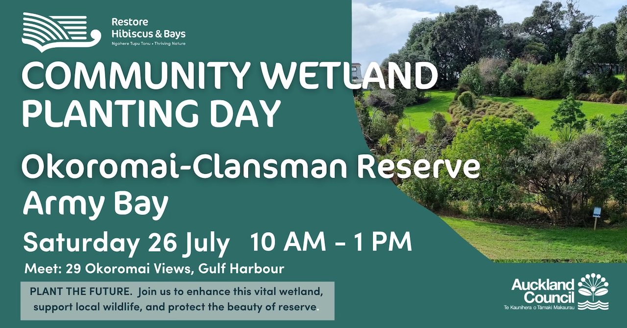 Community Wetland Planting Day