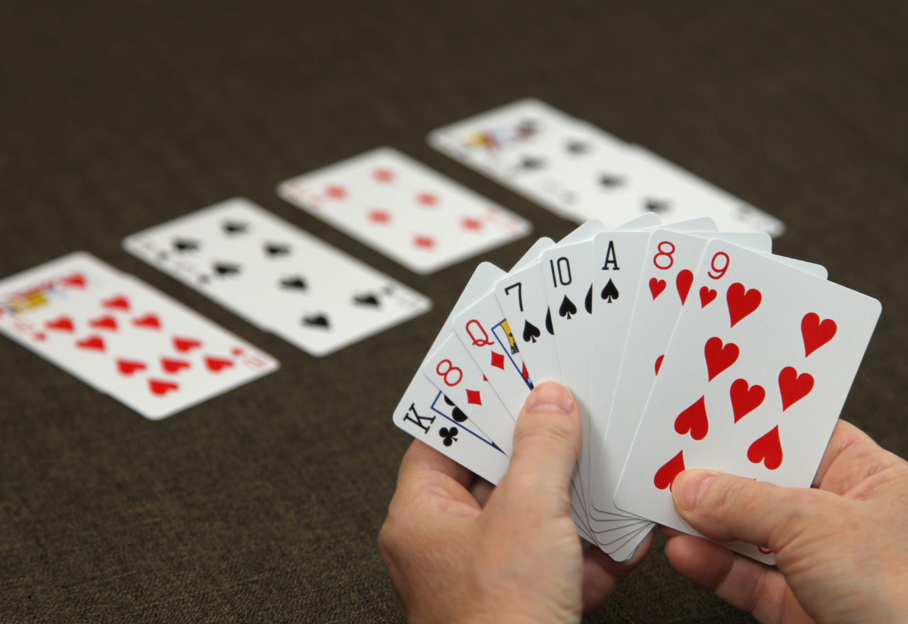 Bridge beginner lessons