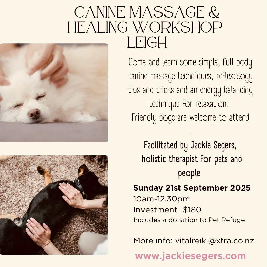 Canine Massage and Healing Workshop in Leigh with Jackie Segers