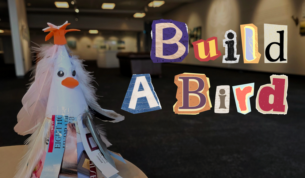Kids Create | Build-a-Bird