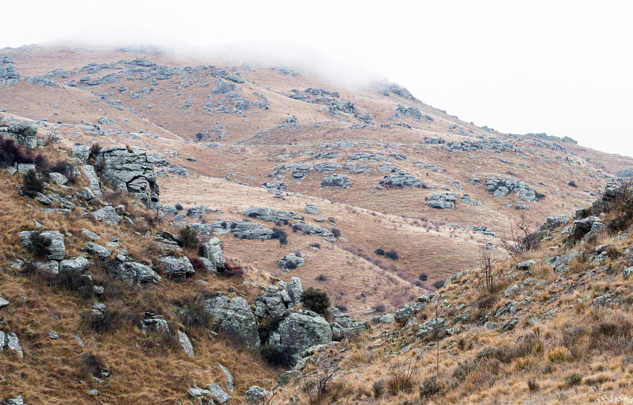 Bannockburn Arts presents - Writers in the Wild