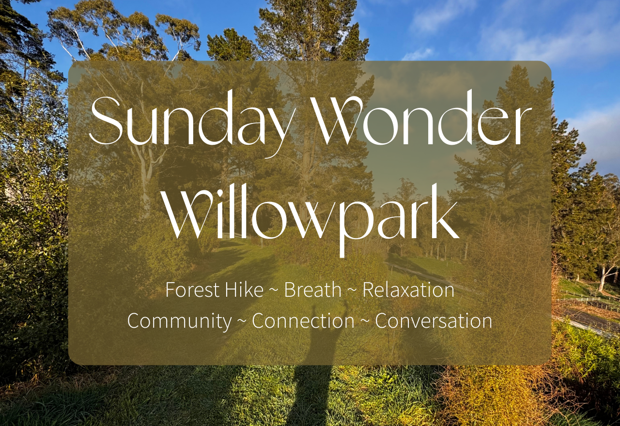 Sunday Wonder at Willowpark