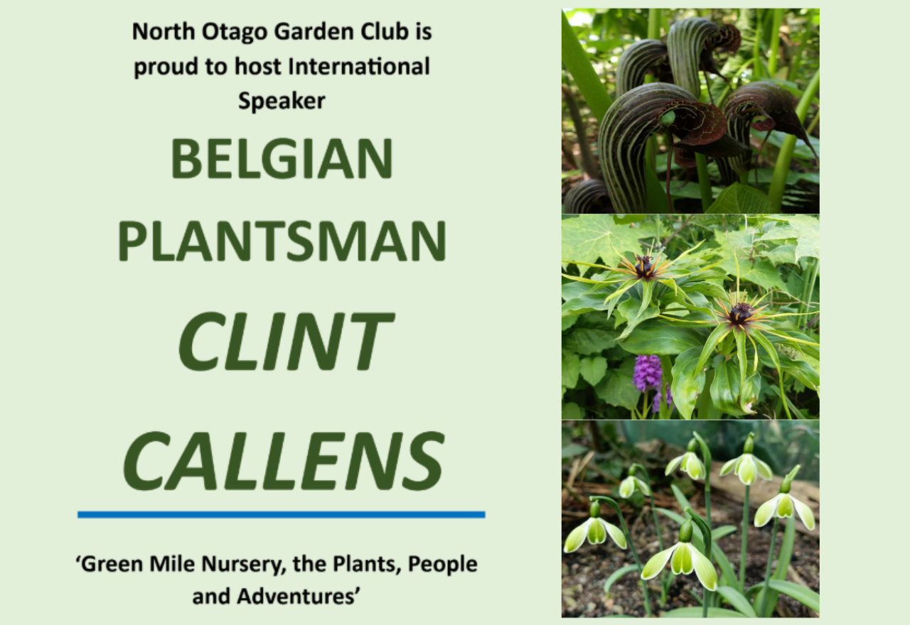 Green Mile Nursery | The Plants, People  and Adventures
