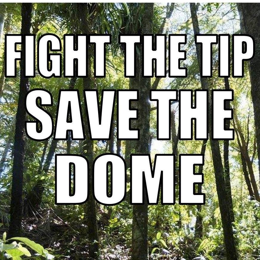 Wellsford Protest to Fight the Tip in the Dome