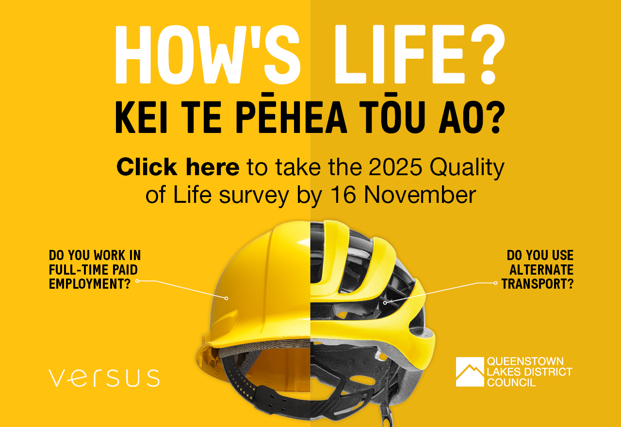 Quality of Life Survey