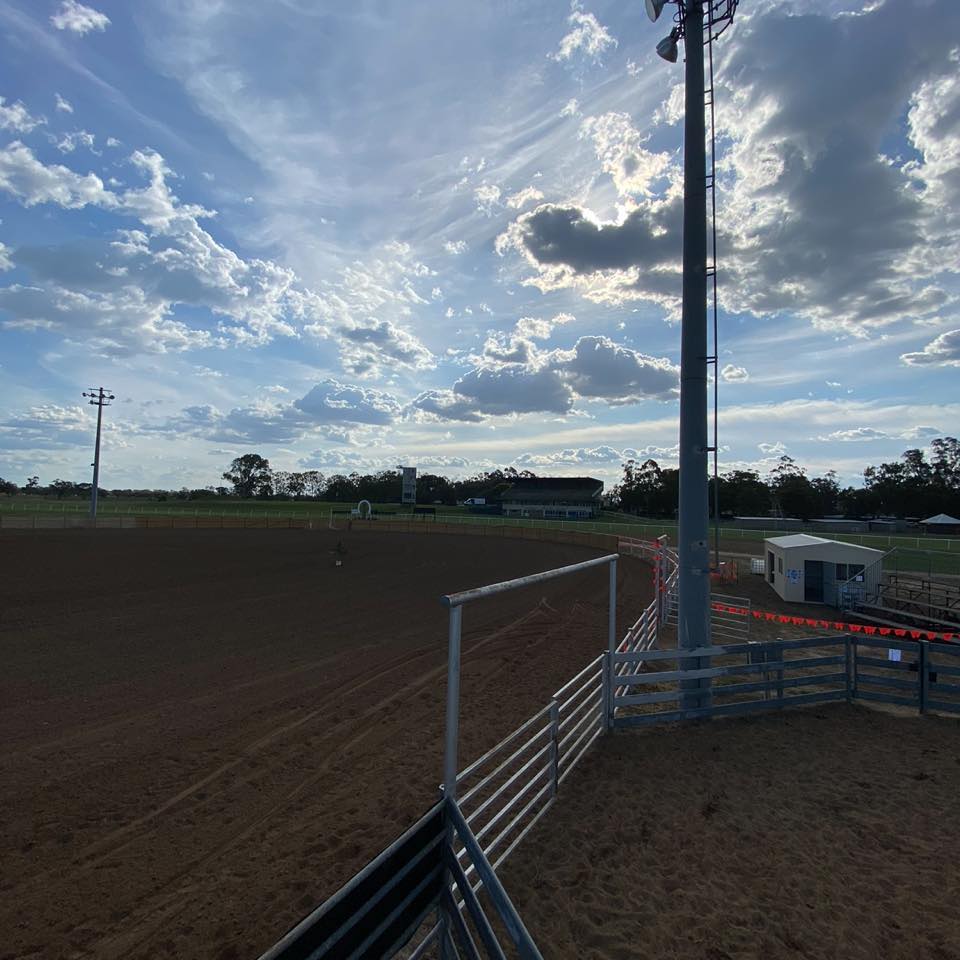 Warren Campdraft 