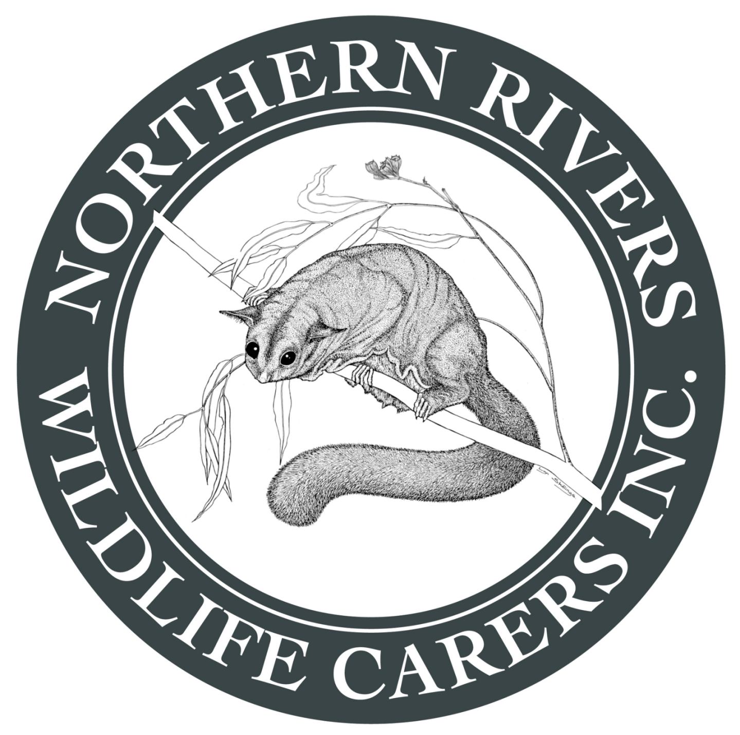 Northern Rivers Wildlife Carers Inc