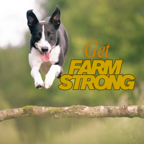 Farmstrong Challenge