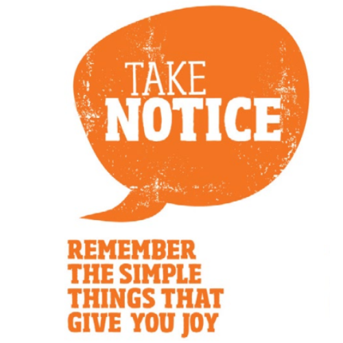 Take notice | me aro tonu