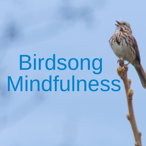 Birdsong Mindfulness