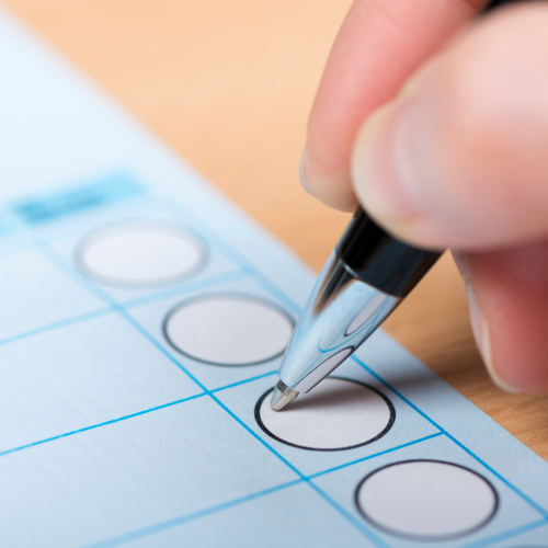 Understanding Your Voting Papers