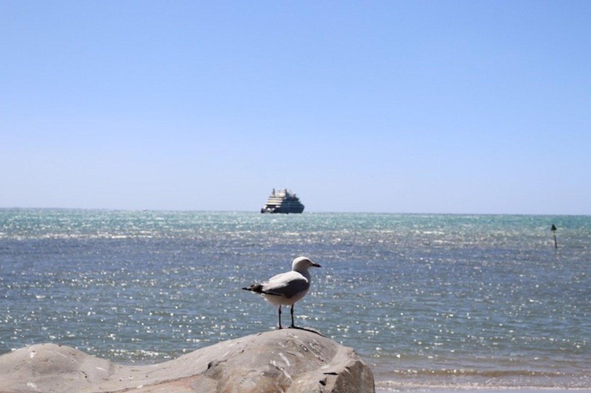 Luxury cruise ship visits Encounter Bay