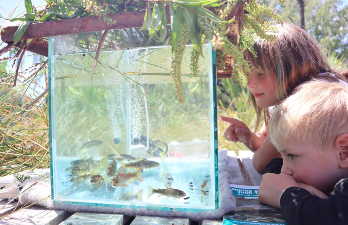 Local species go wild on World Wetlands Day
