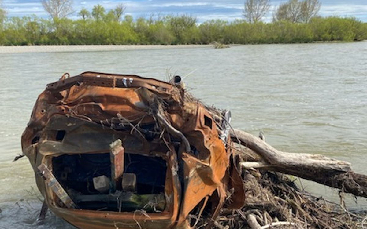 Cars and carcasses: Southern council forks out for clean-ups