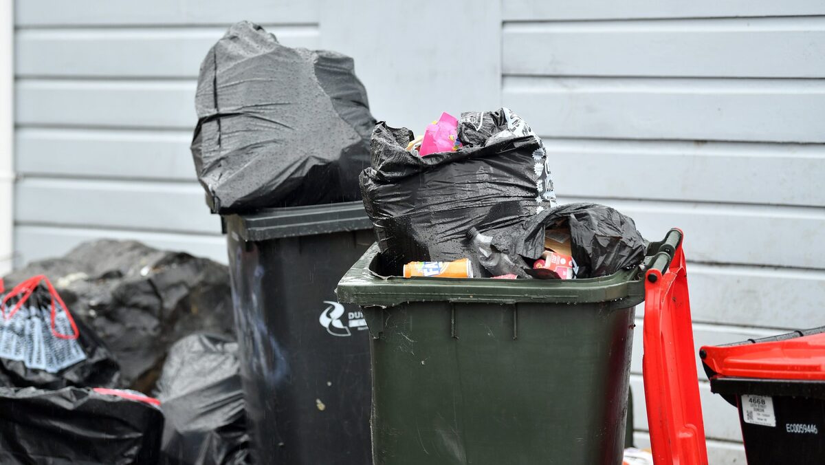 Recyling bin inspectors face abuse