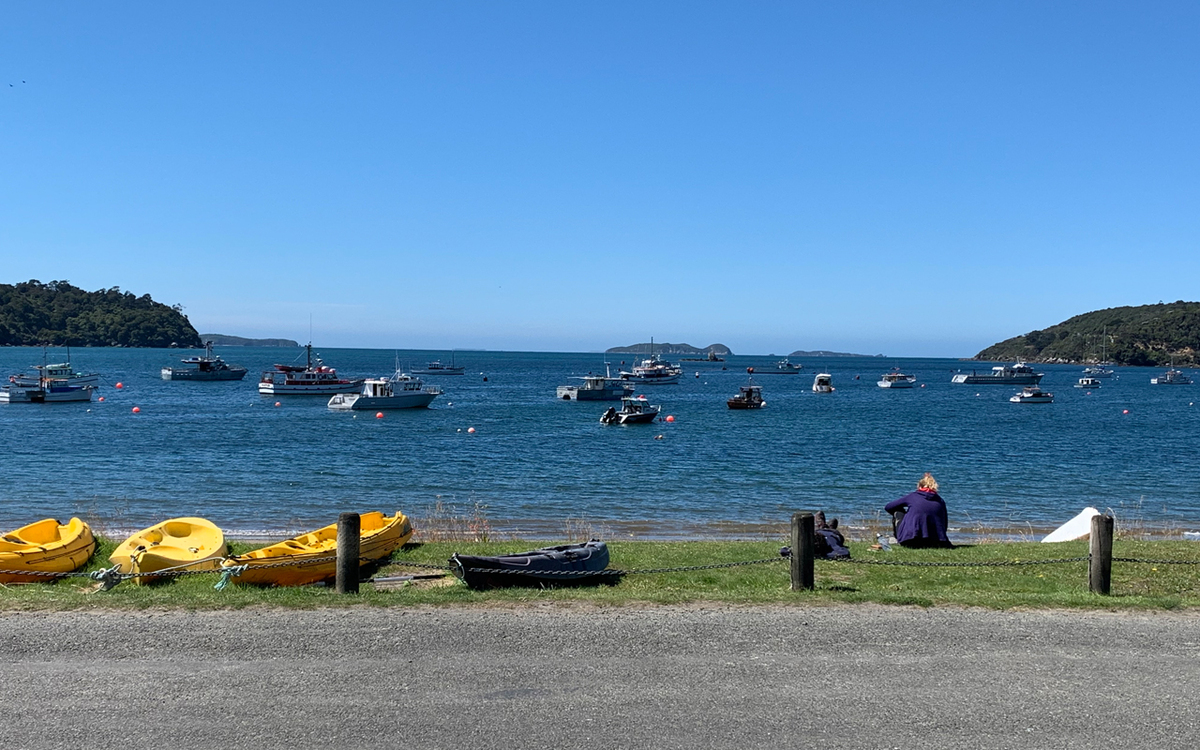 Rakiura hunter found after activating personal locator beacon