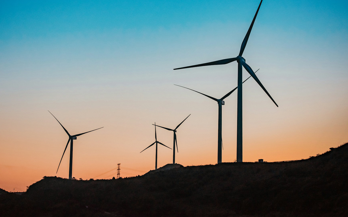 Consent for Southland Wind Farm declined due to potential impact on local environment