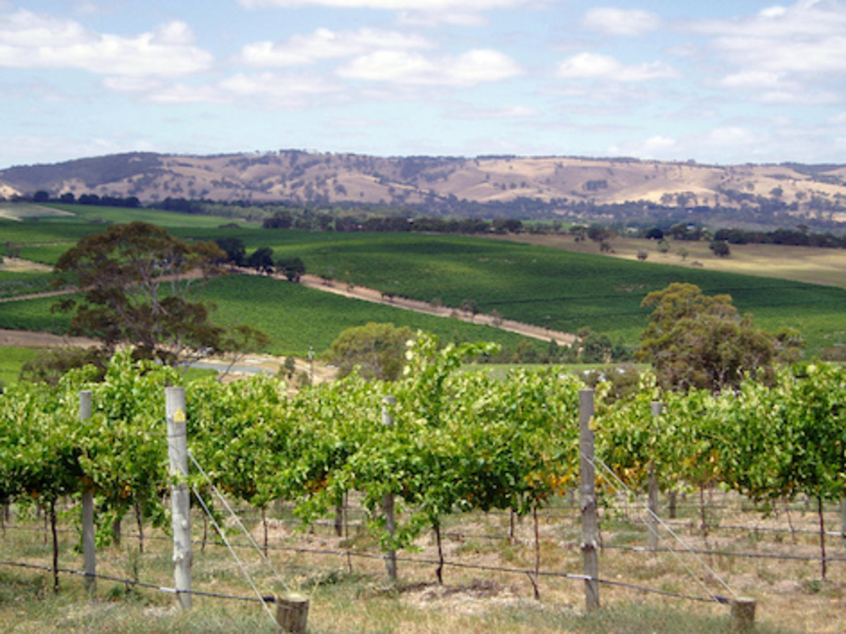 Fleurieu wines pop up in Canada