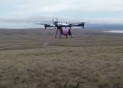 Drone game changer in fight against wilding pines