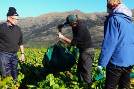 Farmers gear up for crop competition