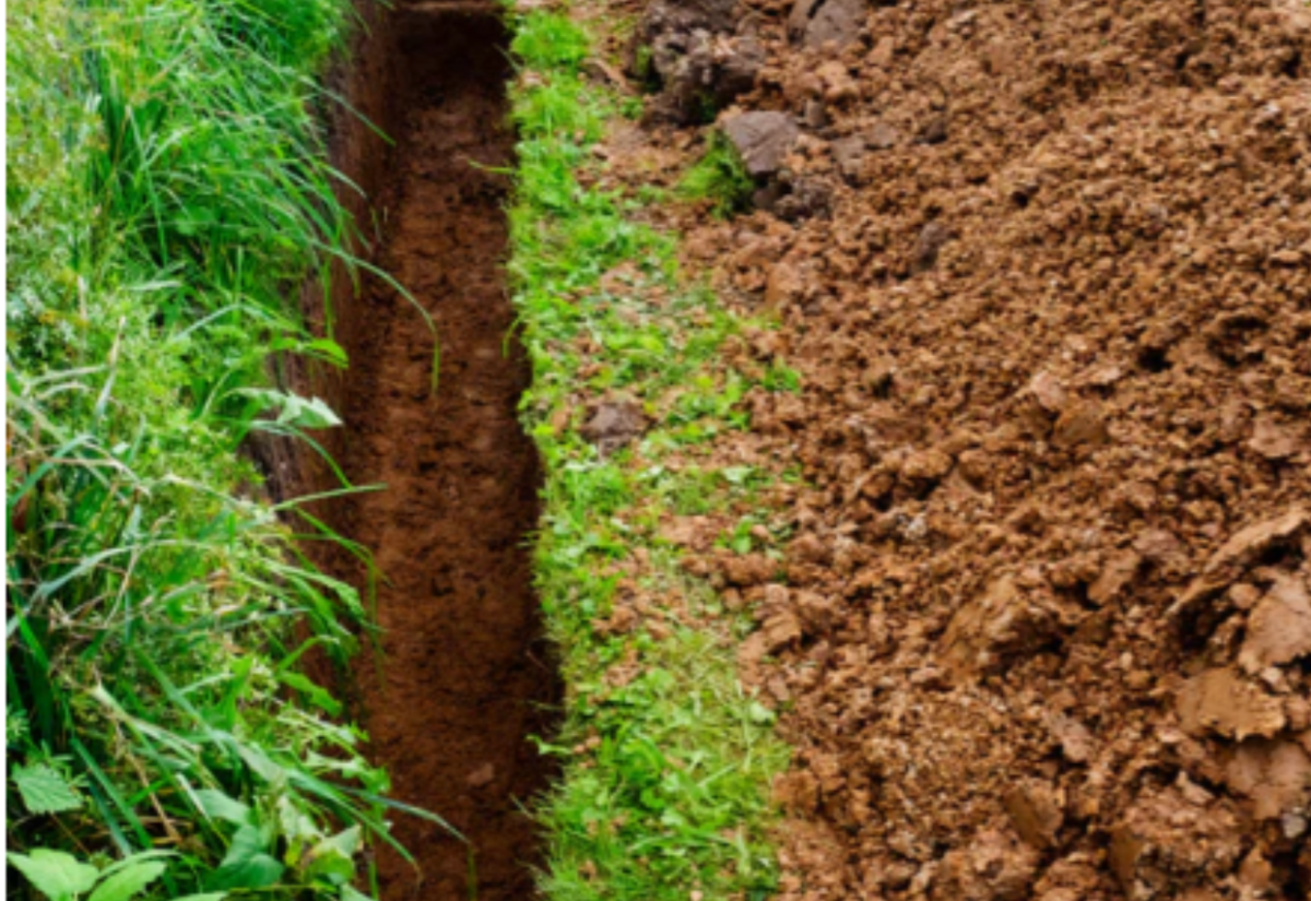 Plateau Landscape Supplies - The importance of good drainage in your garden