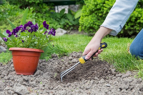 Council greening project continues