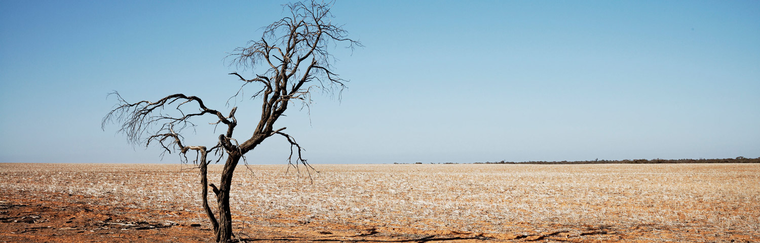  Worst ever  drought is only  three years away