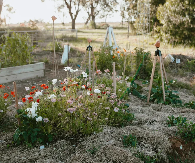 Start planning those spring gardens, people
