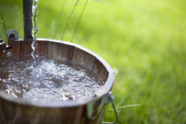 Gore sticks with three-council southern water team