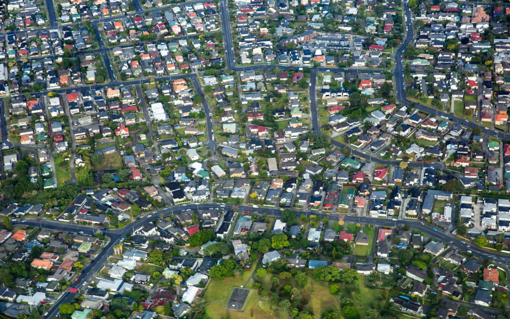 Housing market 'steady on the surface', REINZ says