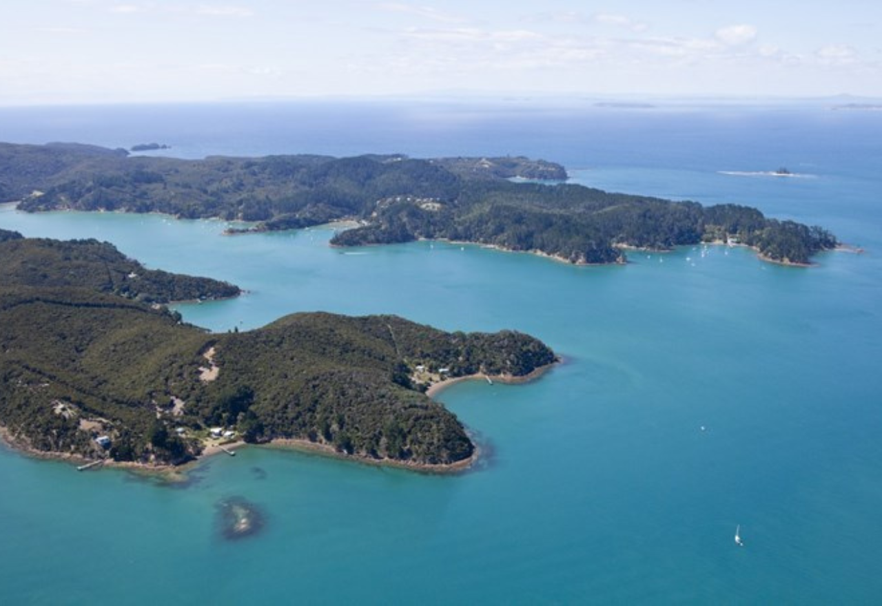 Toxins to be used in Kawau Island pest control operation – dog owners urged to stay away
