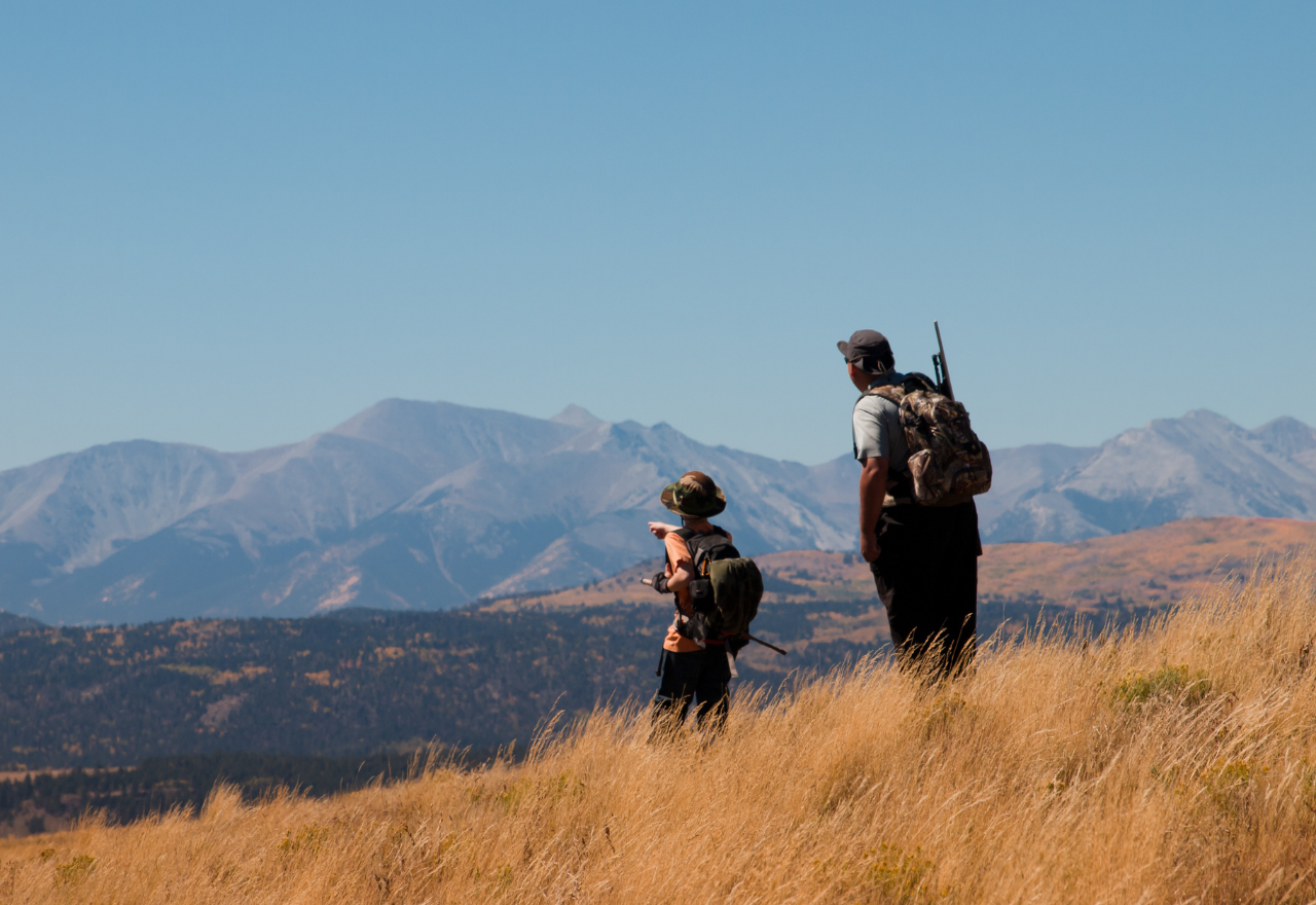 Sustainable management of game in national parks possible