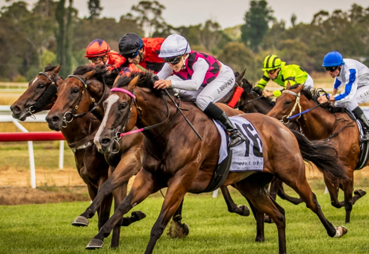 Track improvements for tomorrow's Coonabarabran meeting
