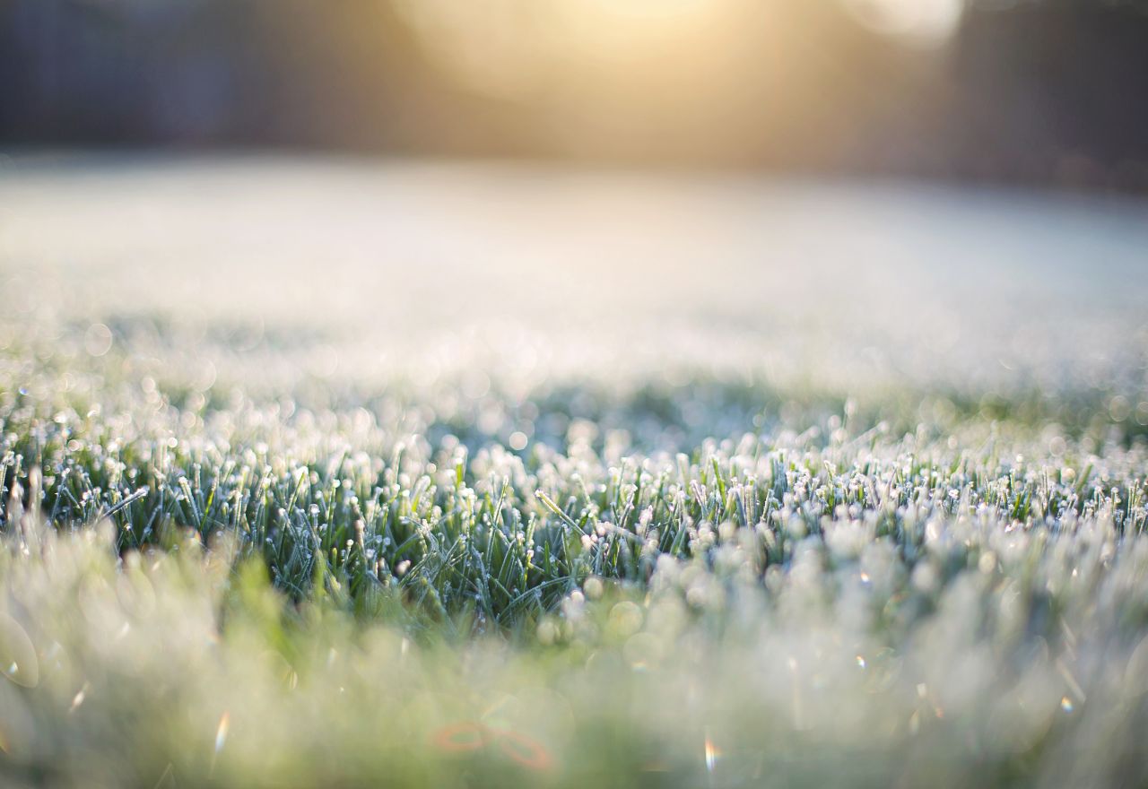 Frosty Starts, Sunny Skies All Week
