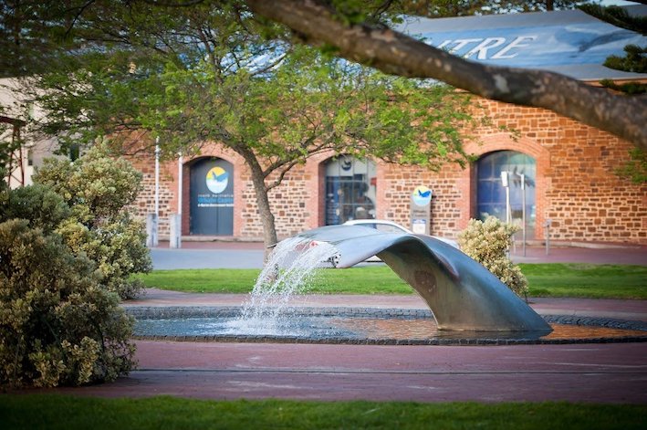 Help to shape next year's Winter Whalefest