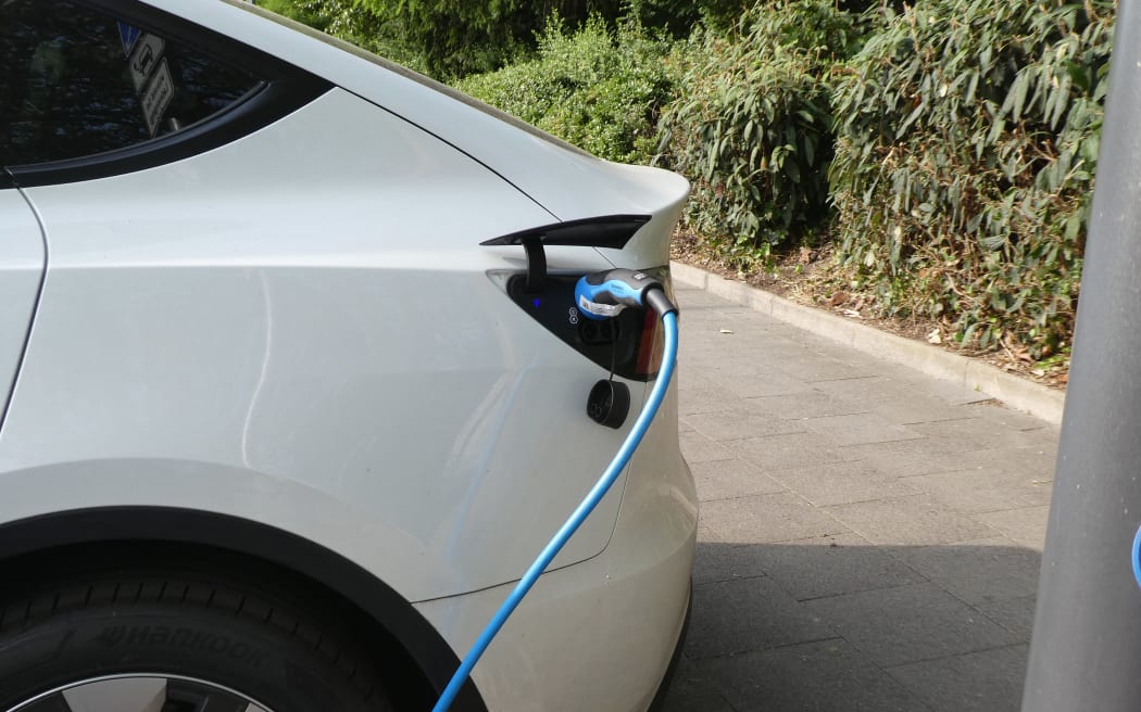 Value of electric vehicle imports falls nearly 60%