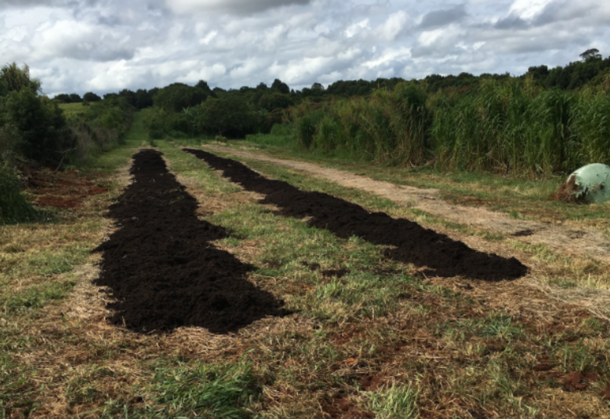 Bundjalung Tribal Society to turn forst sod on its proposed Aboriginal Cultural & Education Centre
