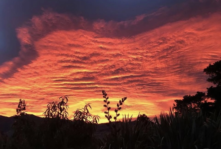 Wet, windy and warm weather ahead