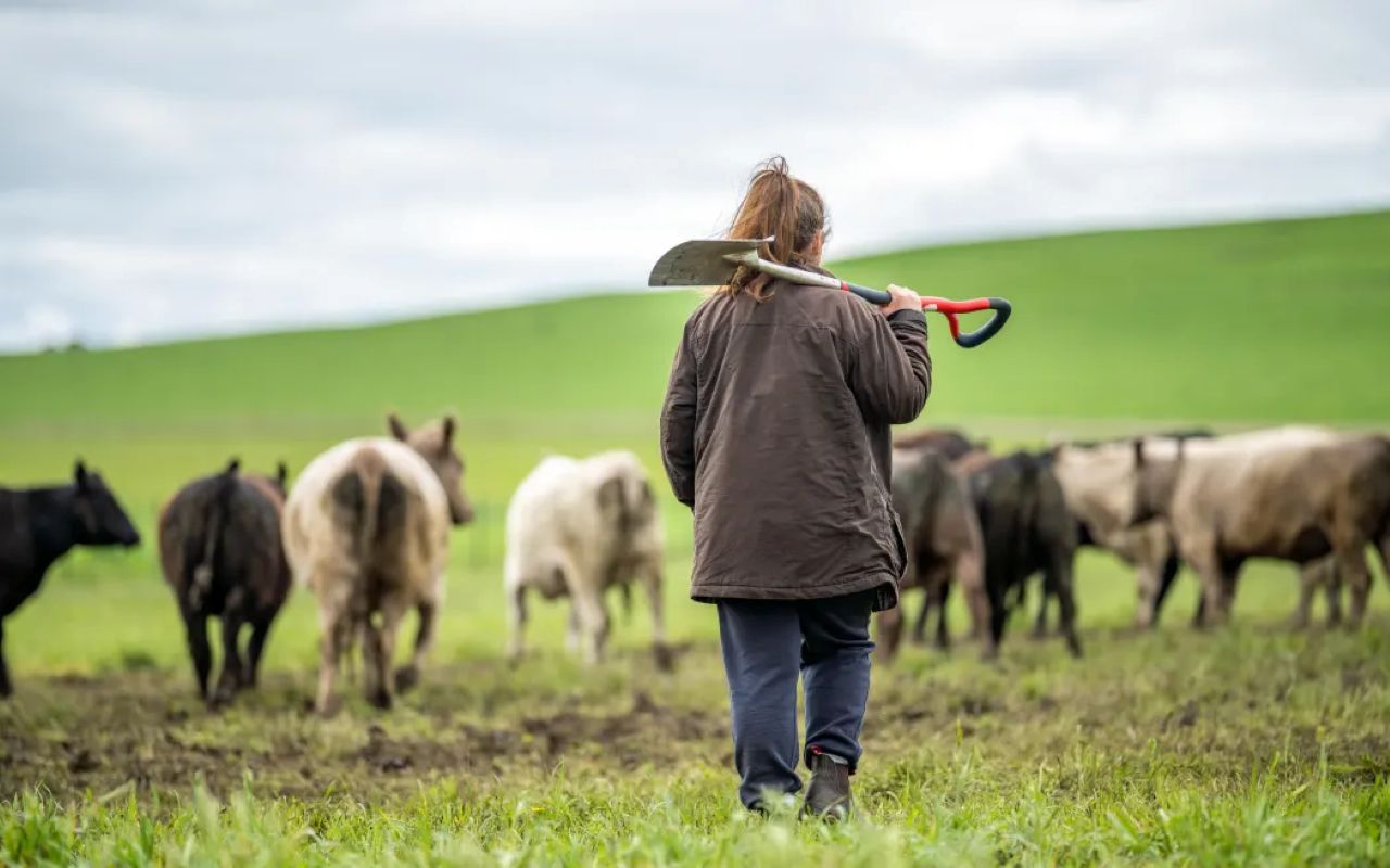 Economic optimism among farmers at record high