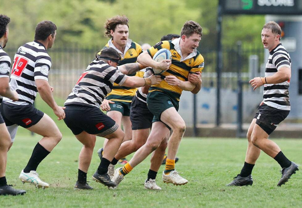 Kiama make it two from two against Shoalhaven in grand final rematch