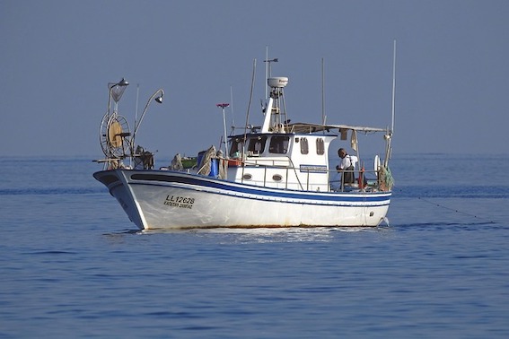 Money for hardest hit by algal bloom